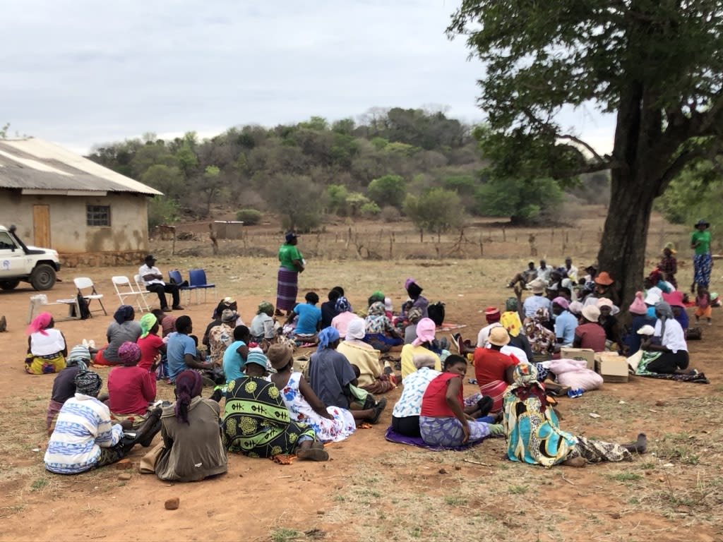 Zimbabwe 2020 Arnel Limpiada